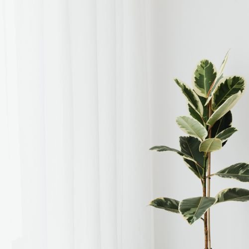 Tandem-Coaching Hamburg -natürliche Coaching-Atmosphäre