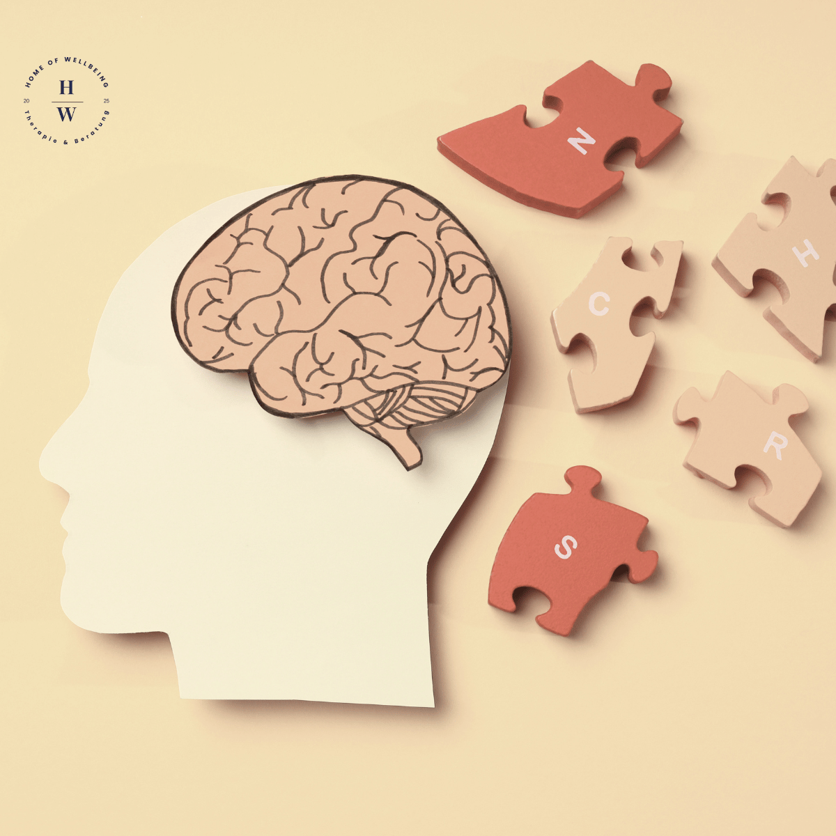 Gehirn als Symbol für die EMDR Therapie